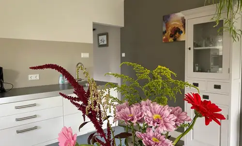 Appartement B&B De Koning - Bed and Breakfast Afferden