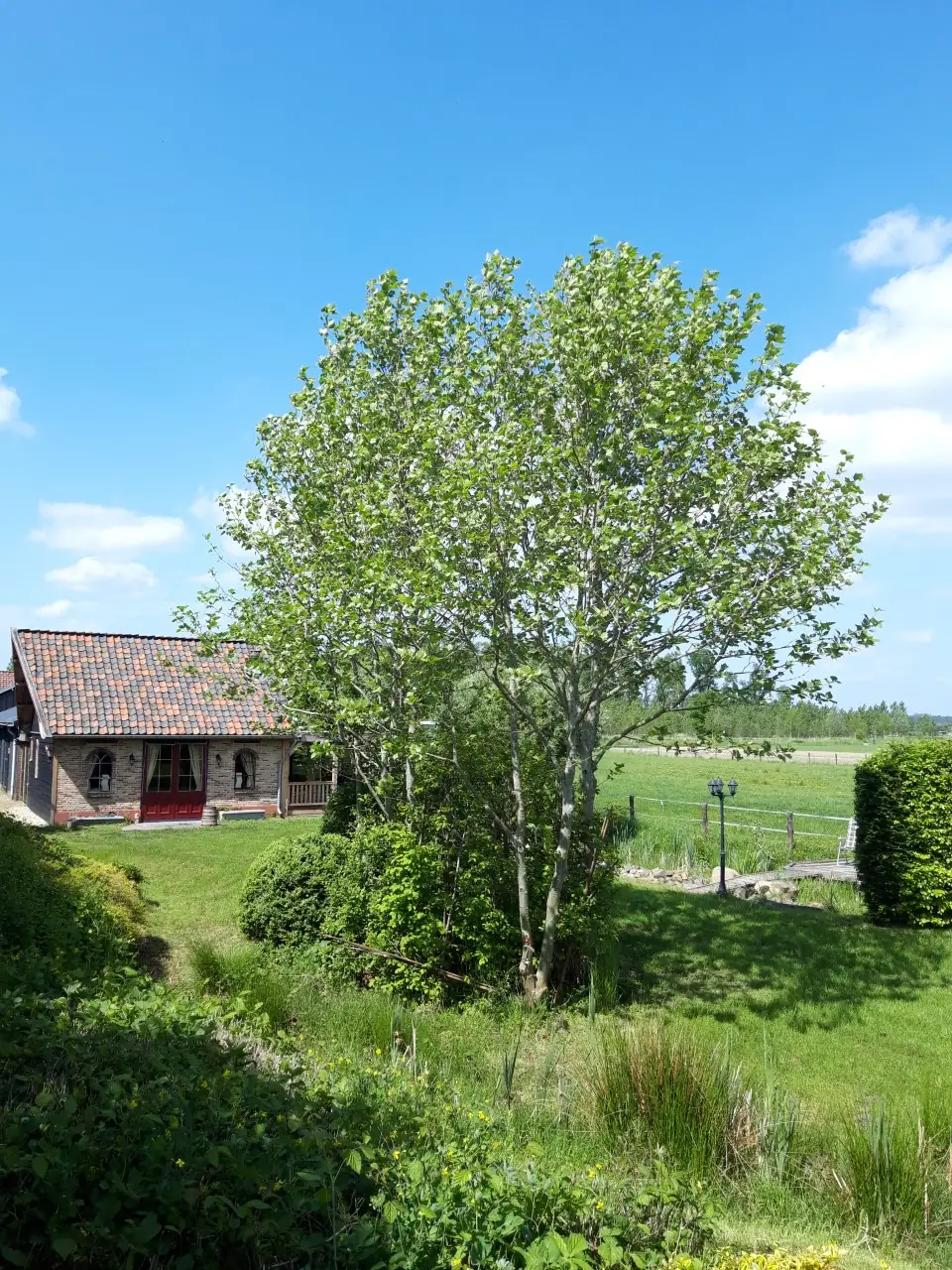 Uniek overnachten op het platteland! - Bed and Breakfast Amerongen