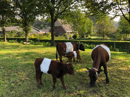 Kanaalzicht Averlinde - Bed and Breakfast