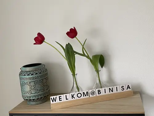 B&B Binisa Westkapelle - Bed and Breakfast Westkapelle