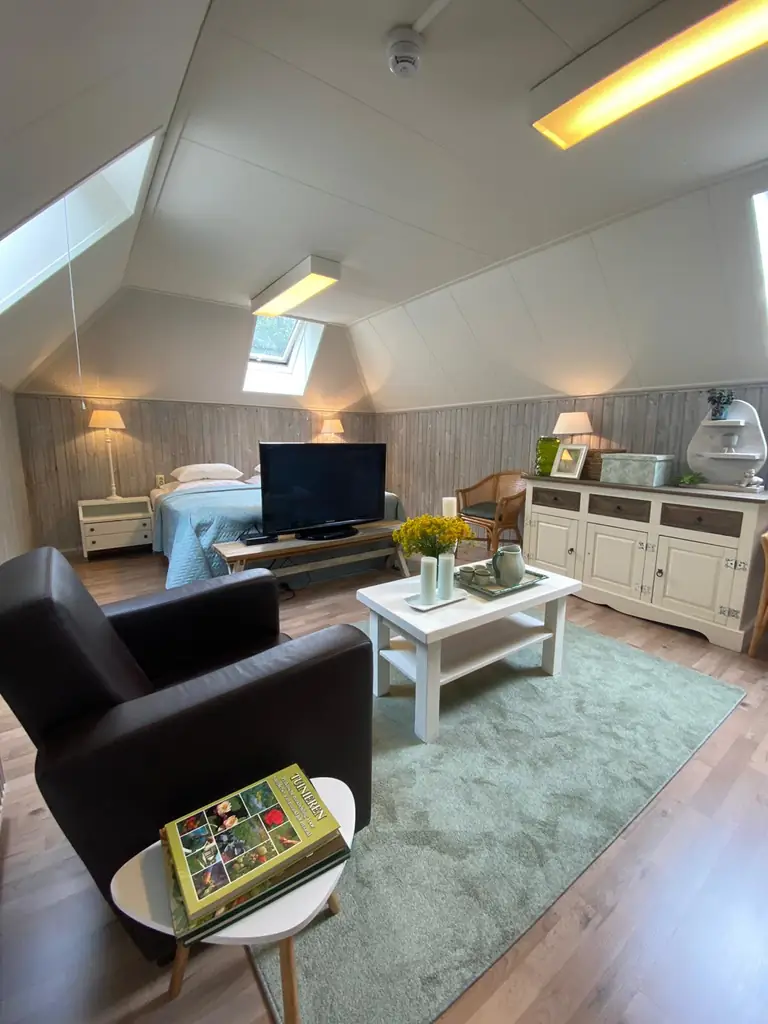 B&B de Bosrand - Bed and Breakfast Ter Apel