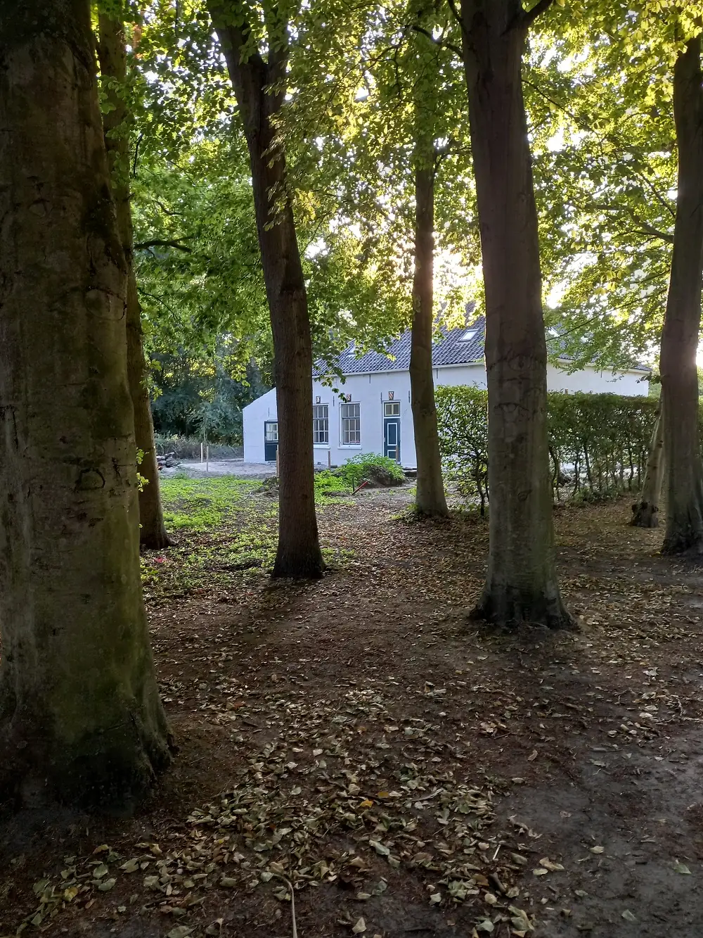 B&B Domaine de l’Est - Chambres d’hôtes Renesse