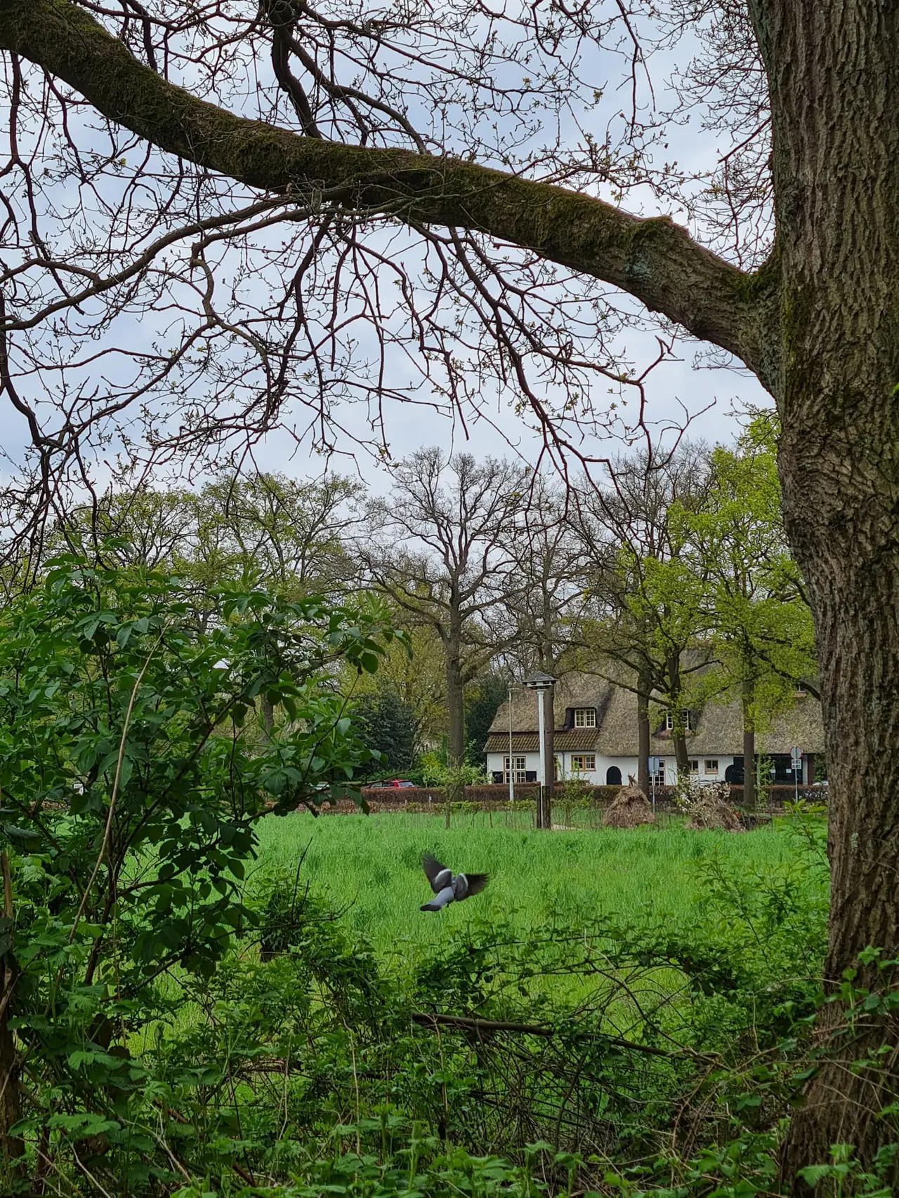 Bik Bed & Breakfast - B&B Eindhoven