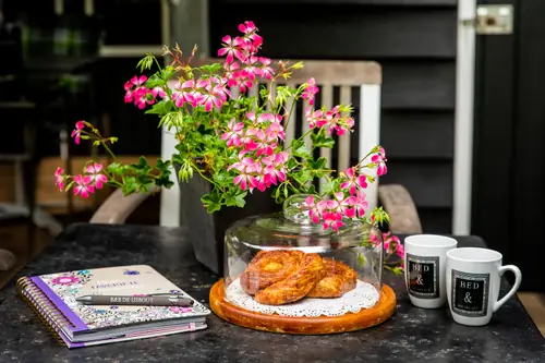 De IJsbout - B&B Goes