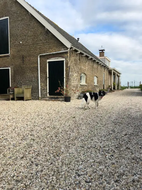 De Klaashoeve - B&B Reeuwijk