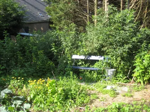 De Wilde Gaard - B&B Cothen