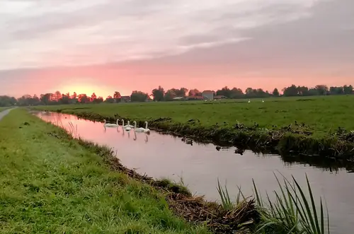 Huize Pastoria - Bed and Breakfast Zuidbuurt