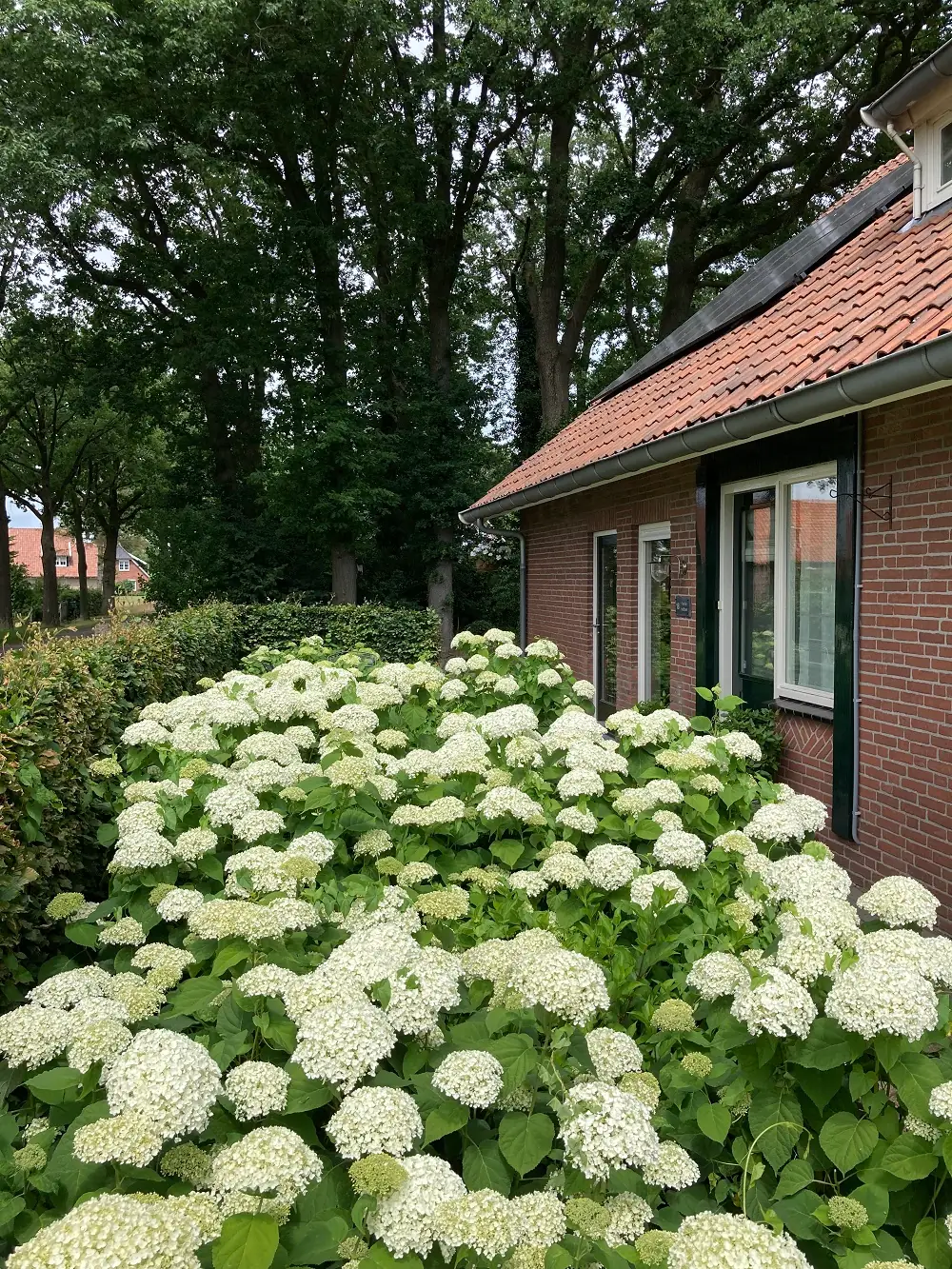 B&B erve Veldboer - B&B Oldenzaal