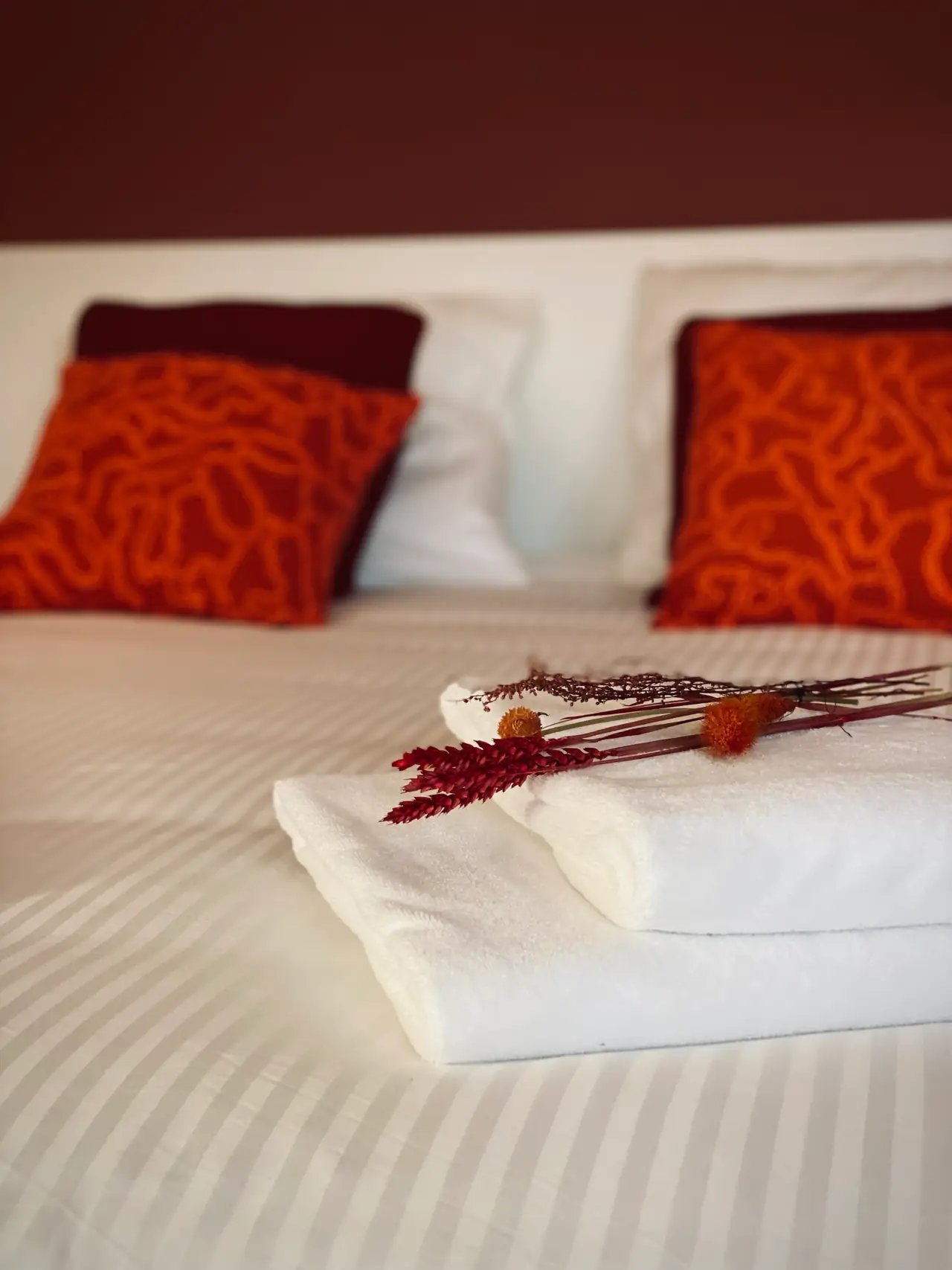 Wilgenacht B&B - B&B Bleiswijk