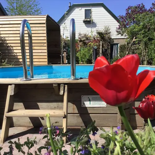 Wellness Centre Homestay Dreamtime - Bed and Breakfast Deventer