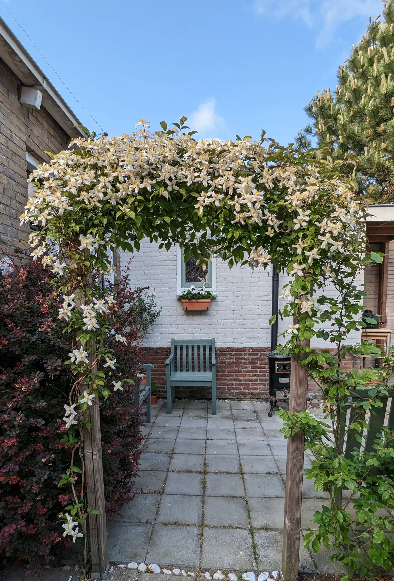 Tante Bobo - Bed and Breakfast Ferwerd