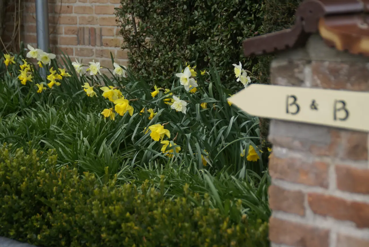 Evendijk - B&B Schoorl