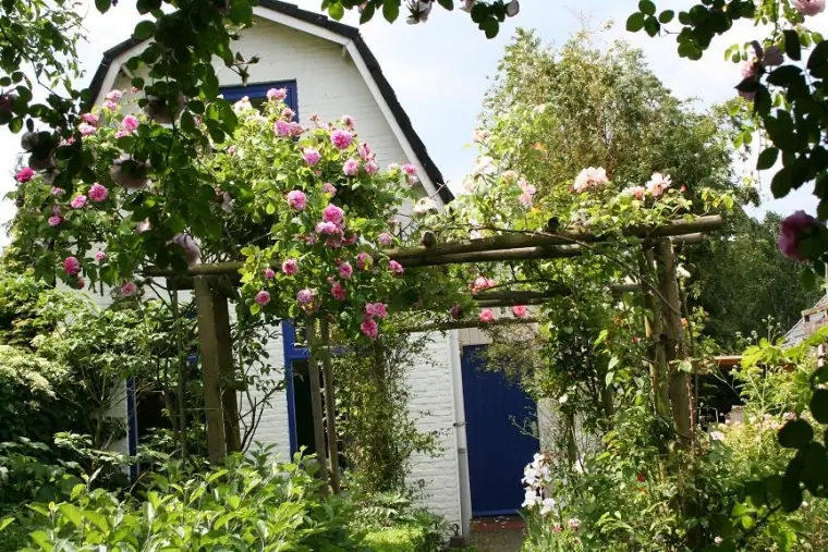 In de Molenstraat - Bed and Breakfast Heeze