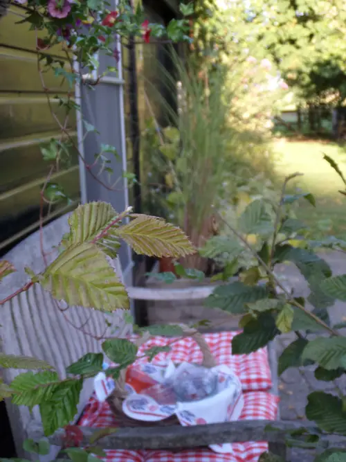 It Súd - B&B Drachten