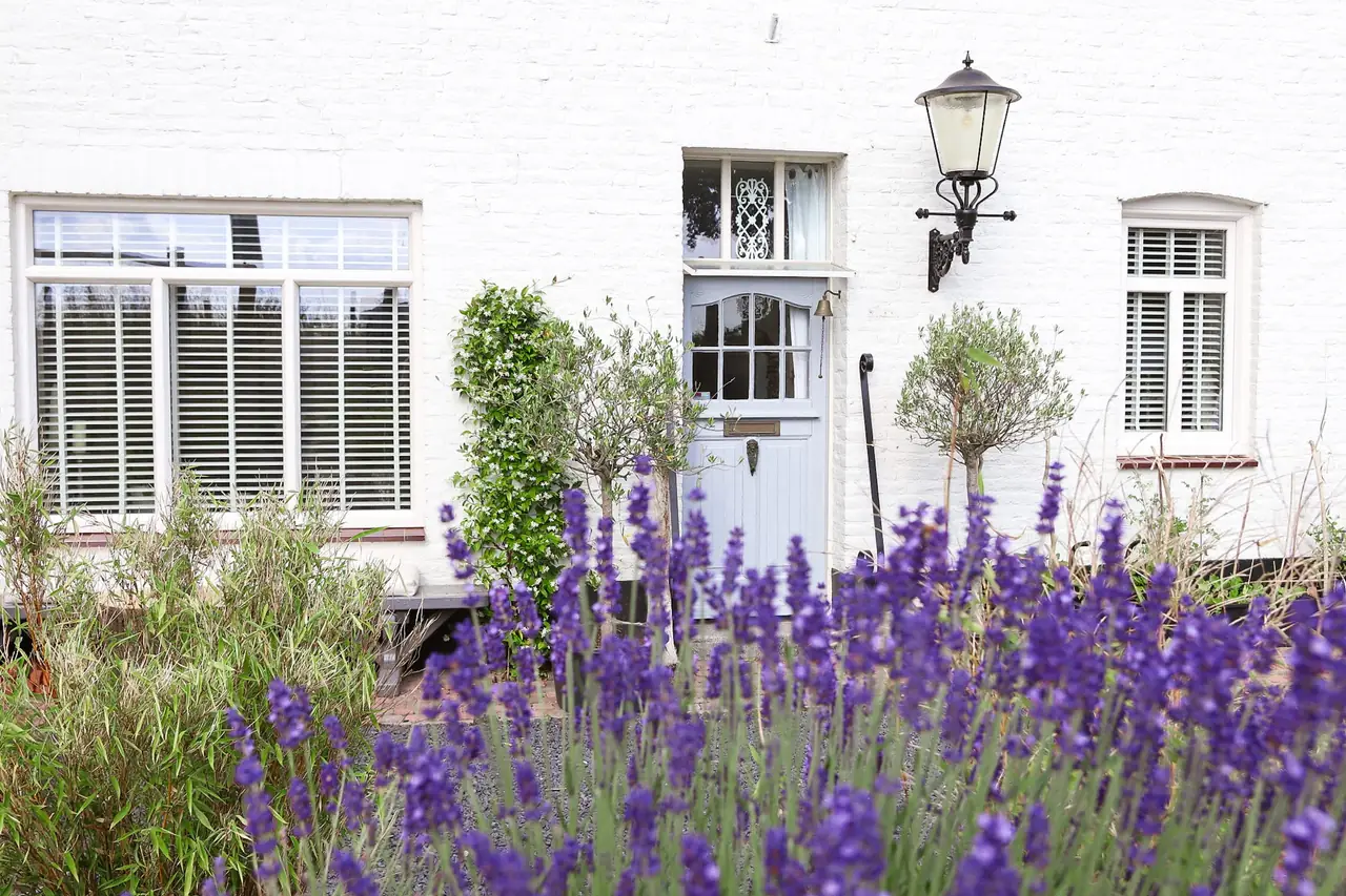Maasvallei B&B - Bed and Breakfast Grevenbicht