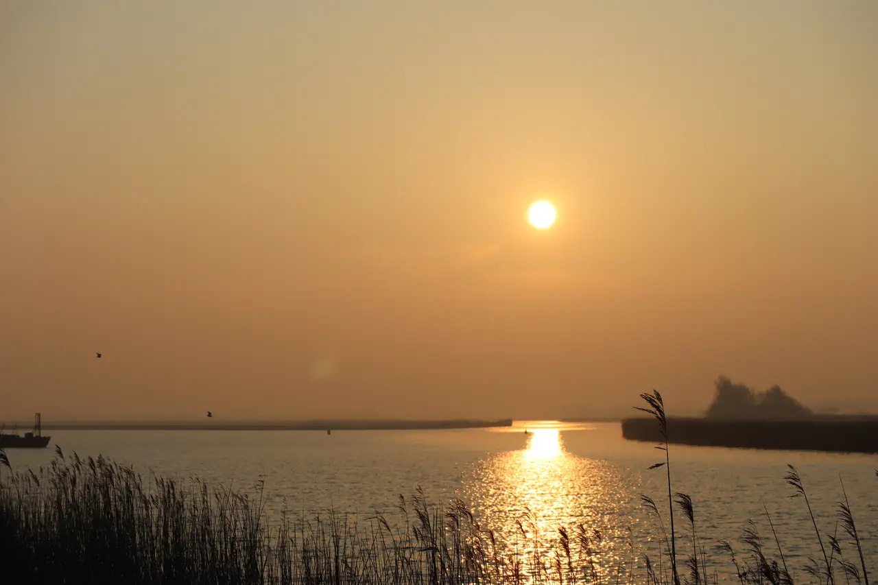 B&B slapen aan de steiger - Bed and Breakfast Stavoren