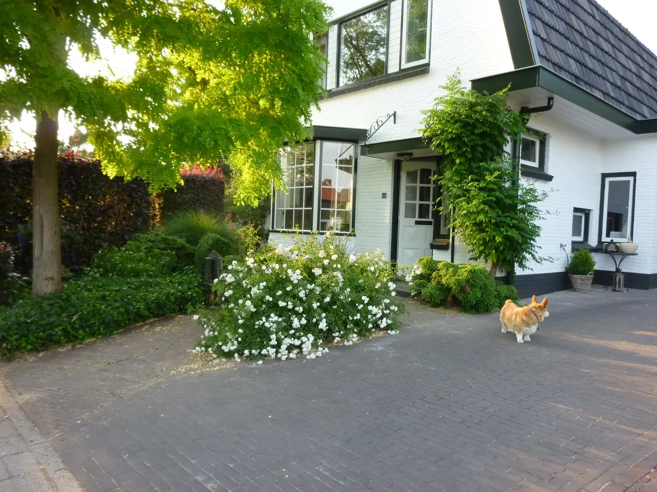 Rosier - Ferienwohnung Aalten