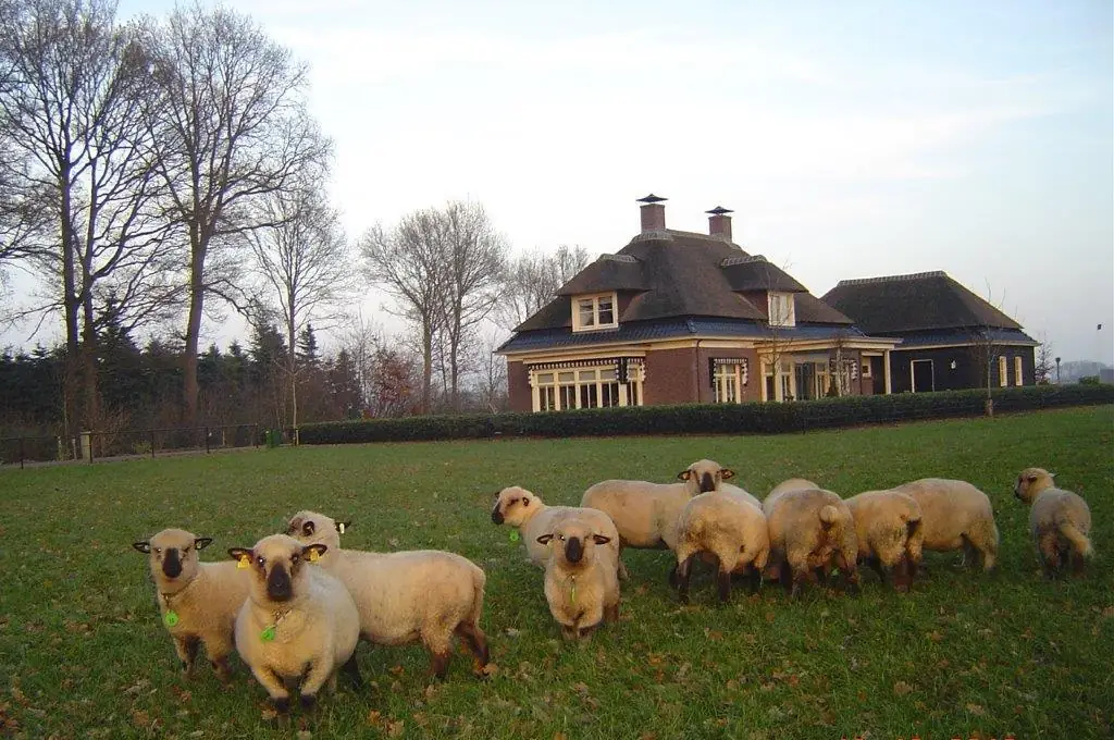 Nieuw Abbelaar - B&B Renswoude