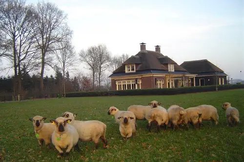 Nieuw Abbelaar - B&B Renswoude