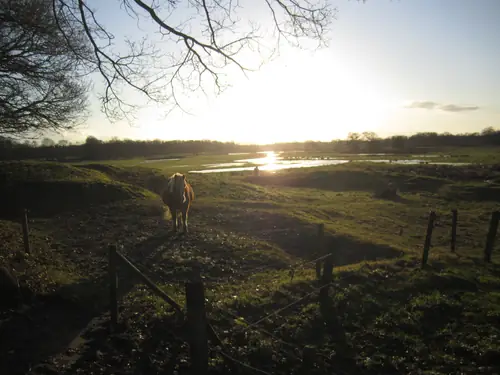 B&B Annebelle - B&B Haren