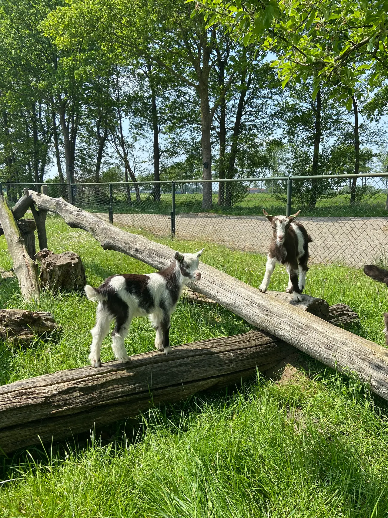 Boerderij Appartementen Linderte - Bed and Breakfast Raalte