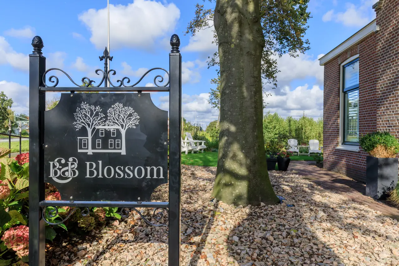 B&B Blossom - B&B Lisse