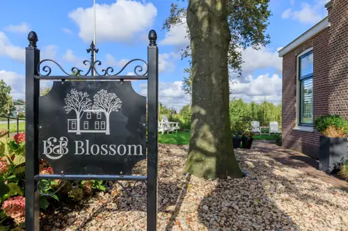 B&B Blossom - B&B Lisse