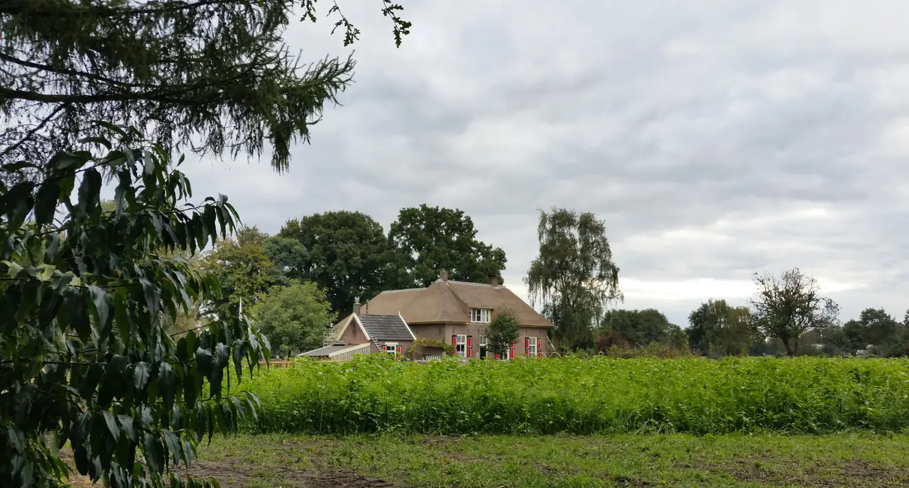 B&B Sloaphuuske - Bed and Breakfast Bathmen