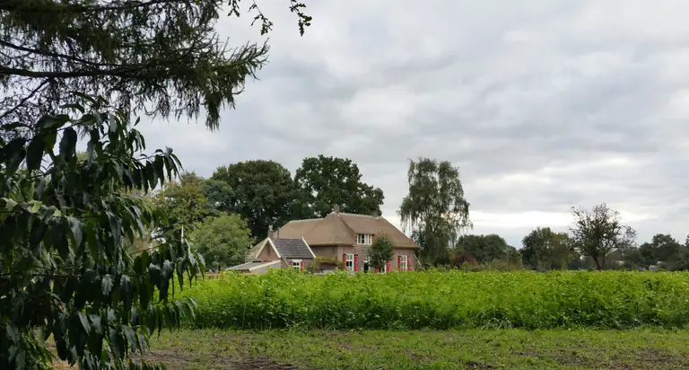 B&B Sloaphuuske - Bed and Breakfast Bathmen