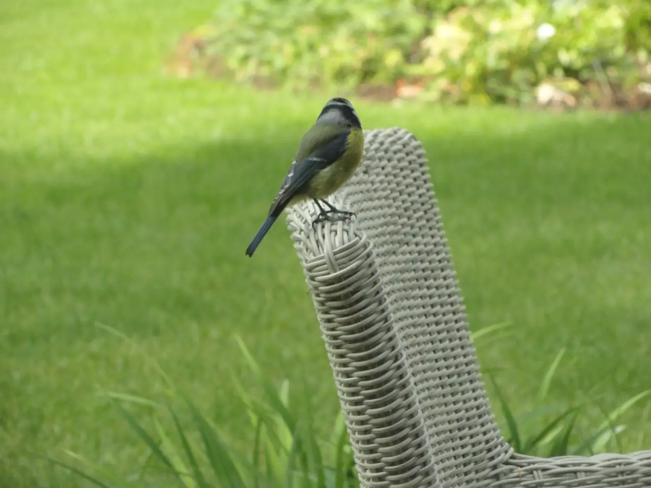 B&B De Joppeheuvel - Ferienwohnung Gorssel