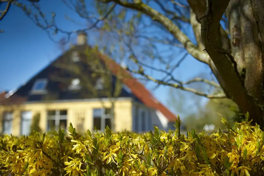 Joarum - Bed and Breakfast Kubaard