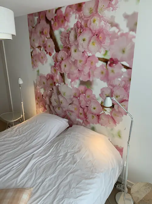 De Ontdekking - B&B Amsterdam