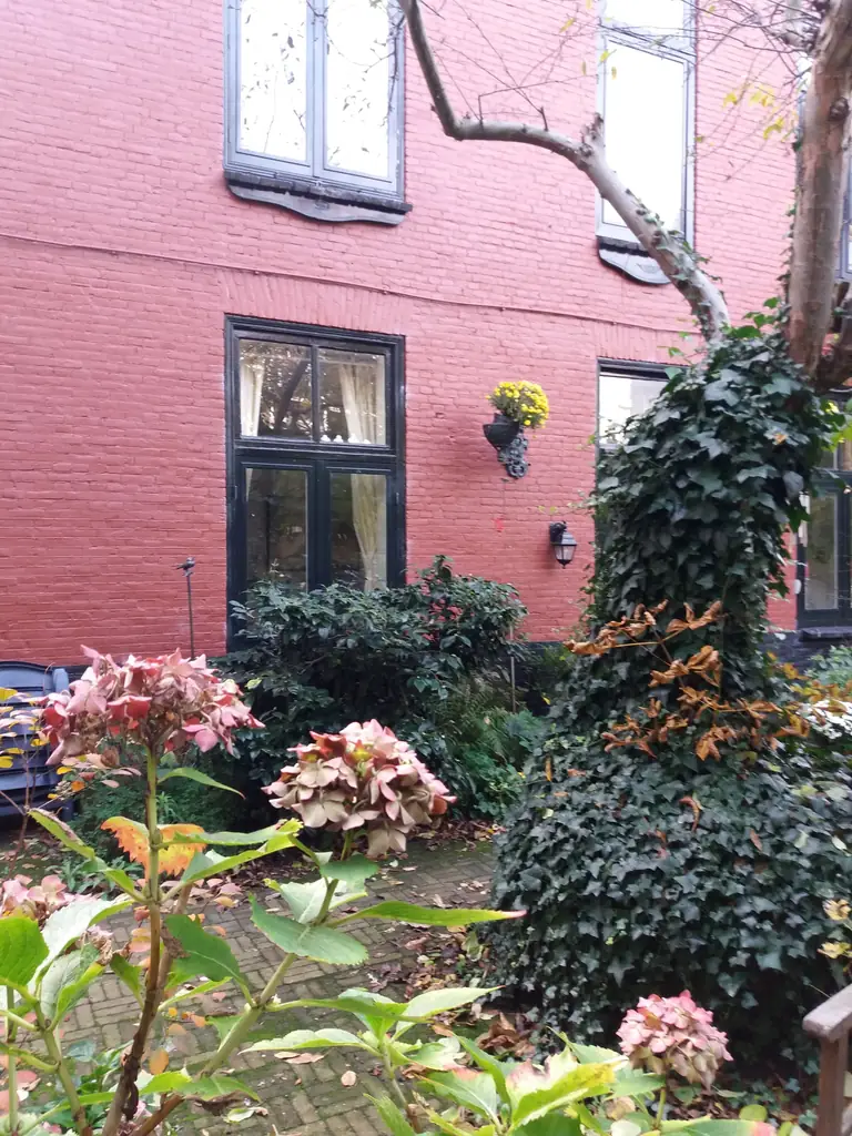 Het kleine Binnenhof - Bed and Breakfast Den Haag