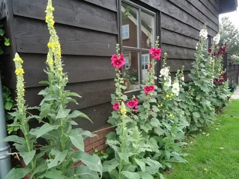 Gooyerhof - B&B Langbroek