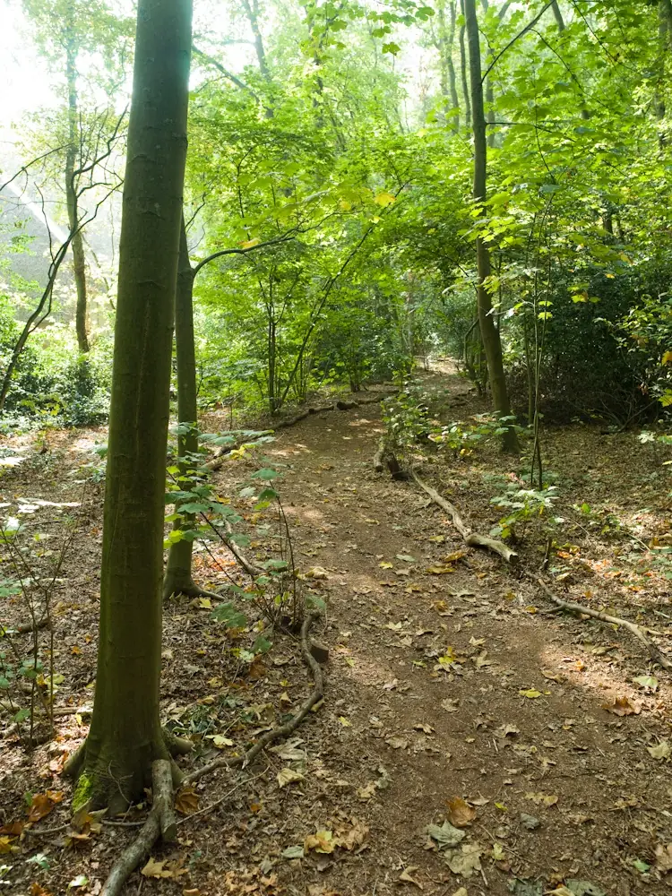 Dopersduin - Bed and Breakfast Schoorl