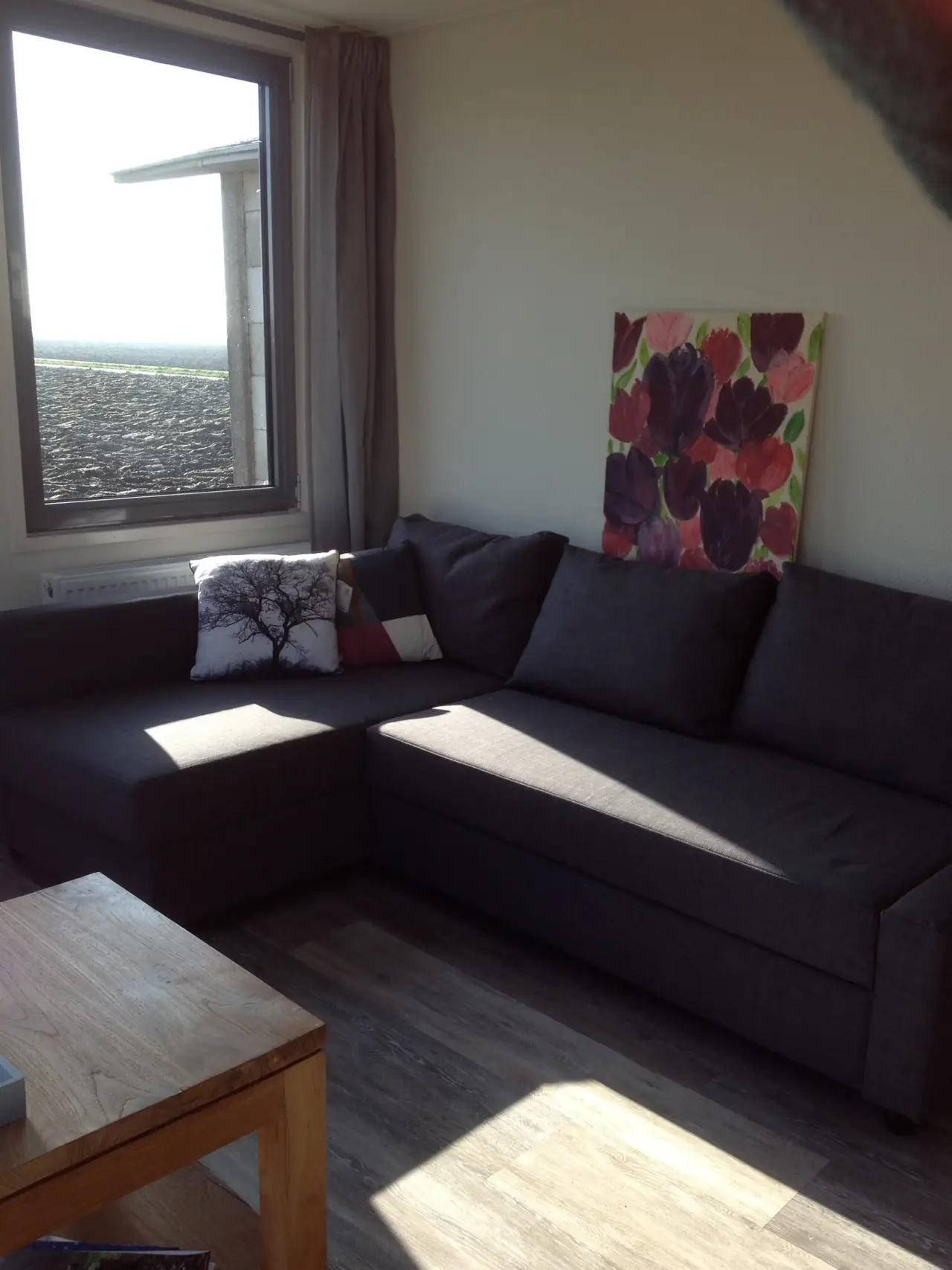 Kijkopschokland - B&B Nagele