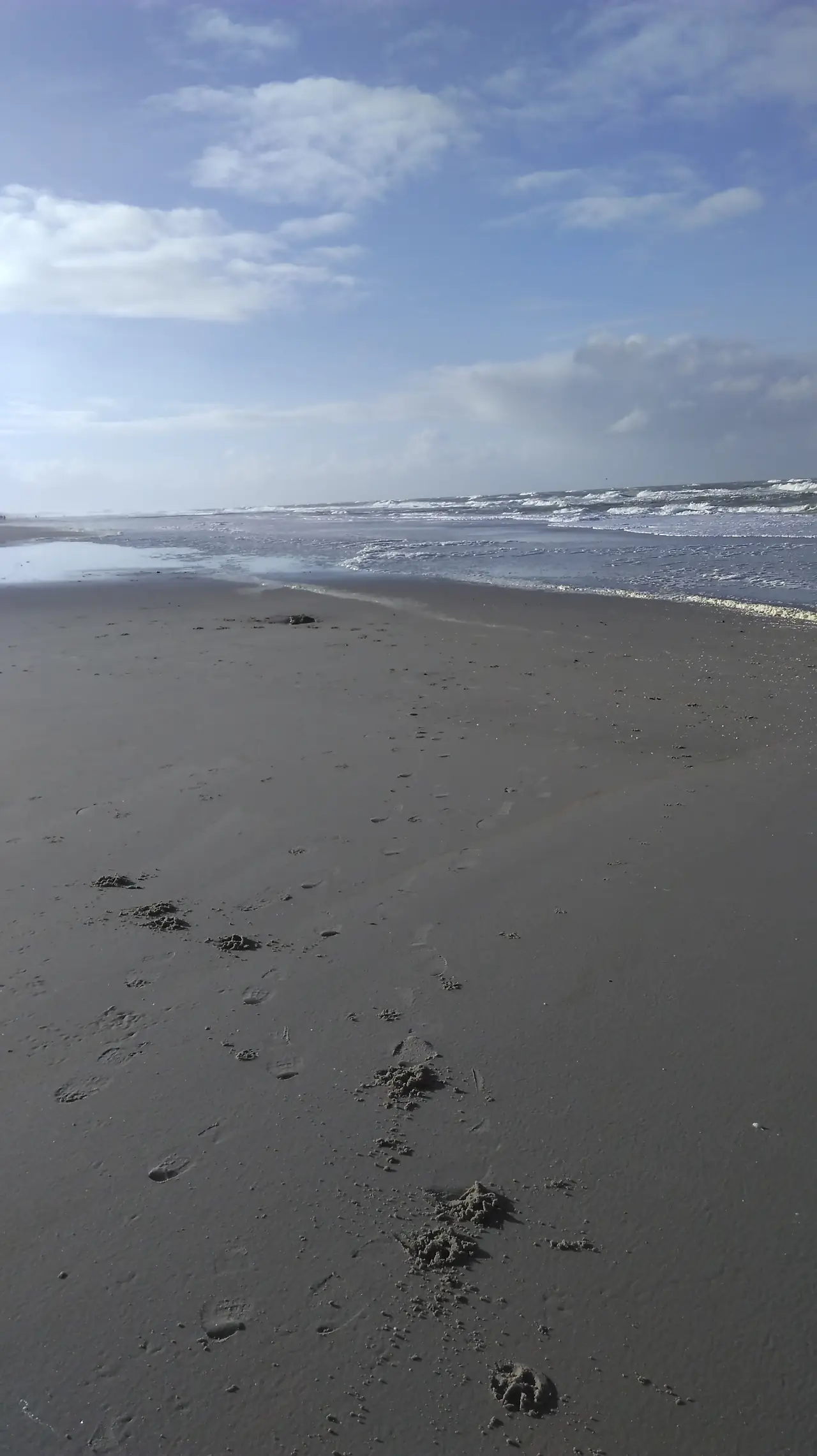 de Vloedlijn - B&B Callantsoog