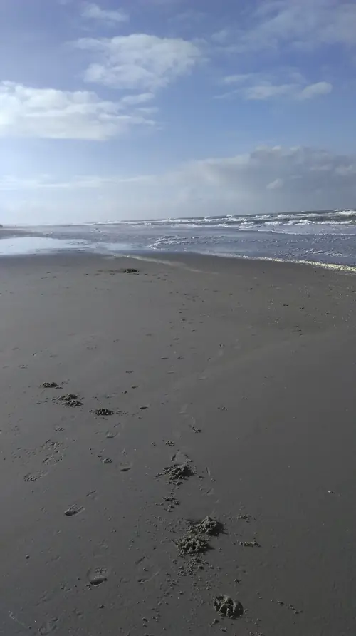 de Vloedlijn - B&B Callantsoog