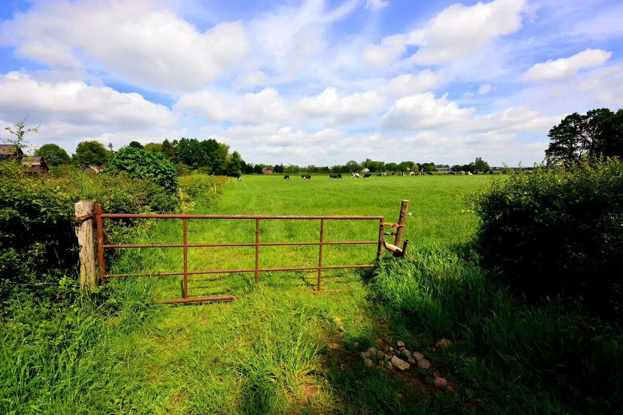 Boven bij Boven - B&B Haren