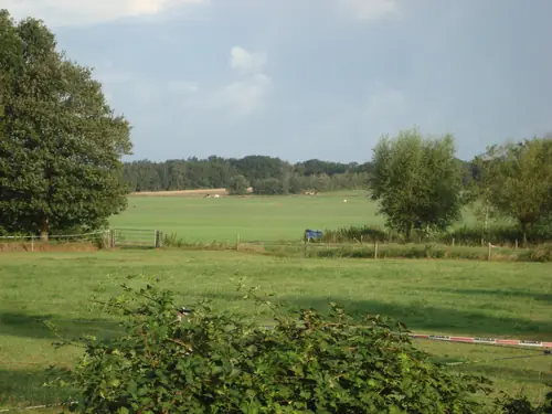 B&B 't Zwaluwnest - B&B Luttenberg