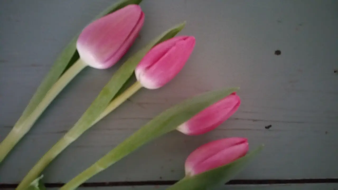 By de Roose - Chambres d’hôtes Zierikzee