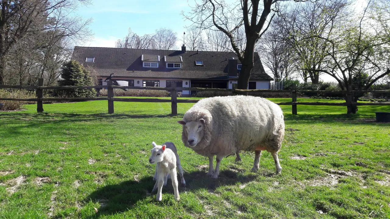 B&B Het Geheim van Merselo - B&B Merselo