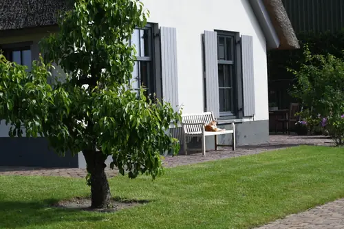 Bed en Breakfast de Marspolder - B&B Lienden