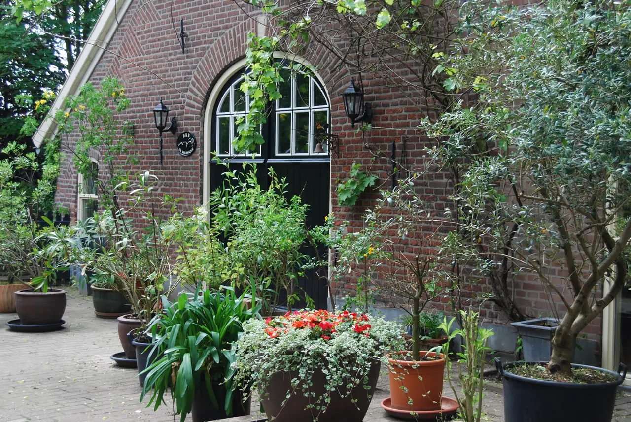 De Molenkolk - B&B Steenderen