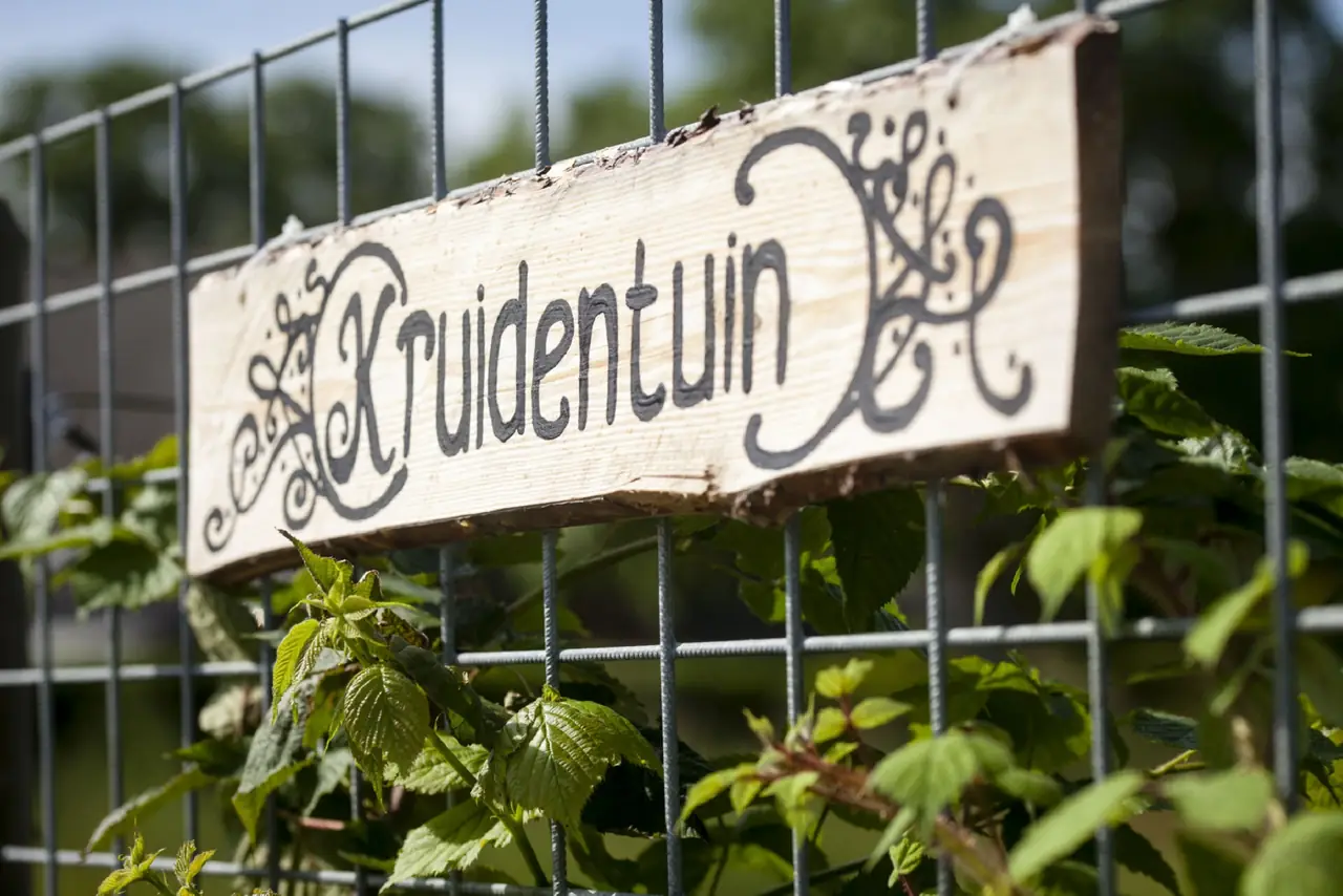 Blauwe Steen - B&B Beuningen