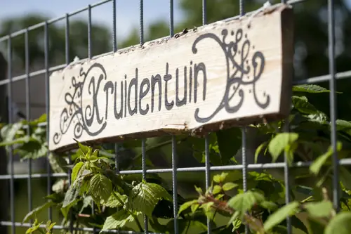 Blauwe Steen - B&B Beuningen