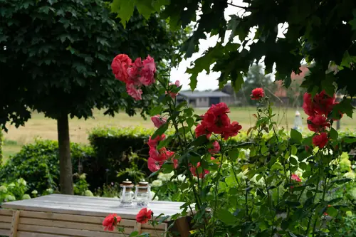 It Súd - B&B Drachten