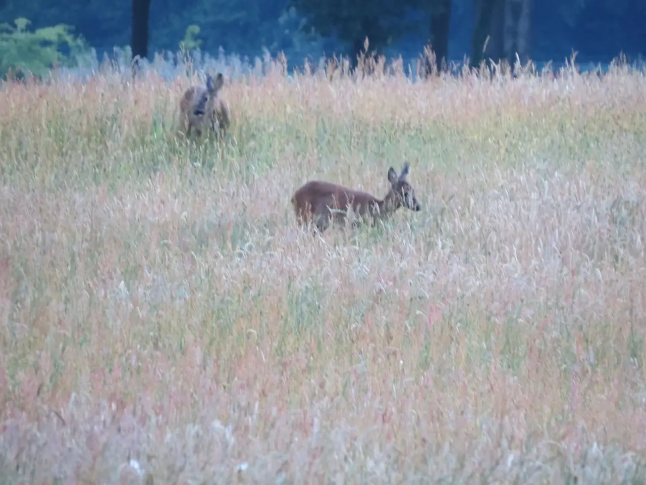 De Haemelt - Bed and Breakfast Vorden