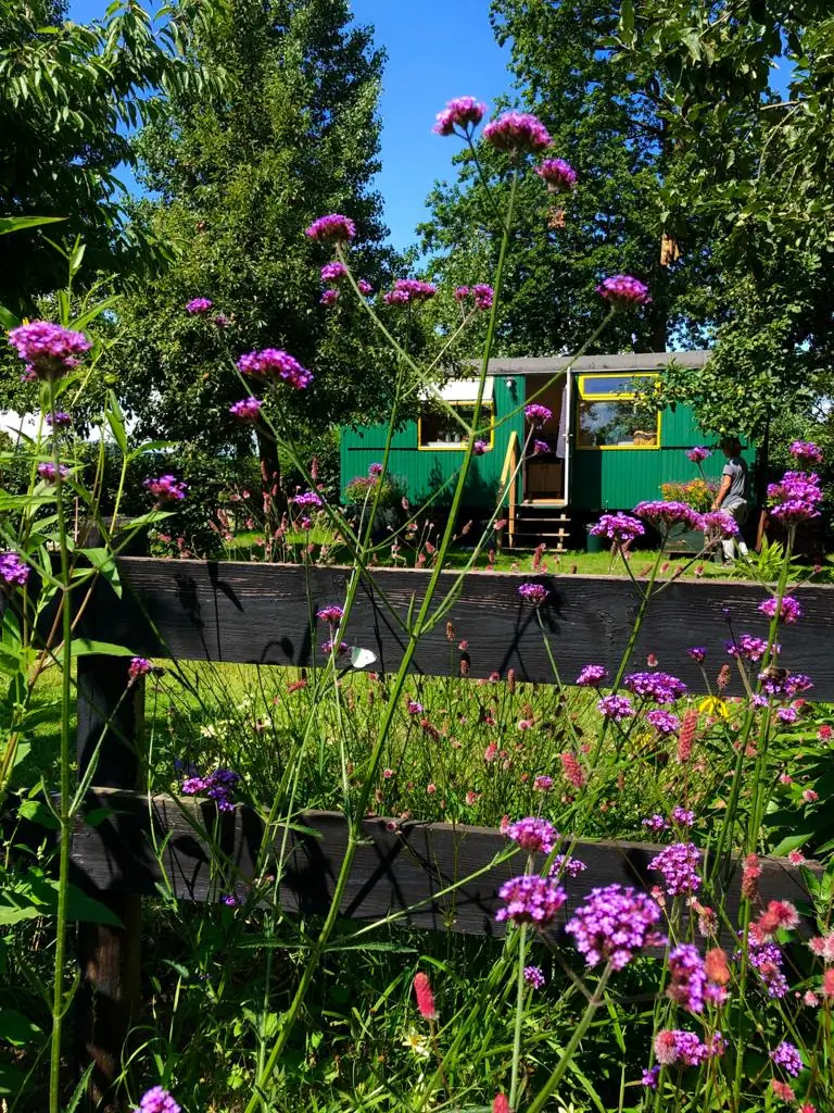 Pipowagen B&B HoppaKeet - Bed and Breakfast Boxtel