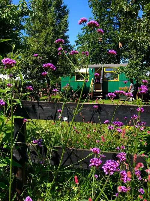 Pipowagen B&B HoppaKeet - Bed and Breakfast Boxtel